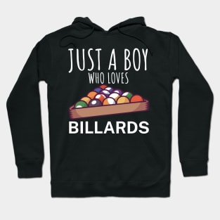 Just a boy who loves billards Hoodie